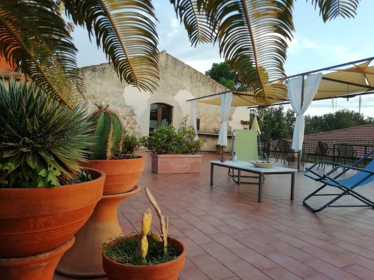 Bed and Breakfast Casa Del Geco Paestum Zewnętrze zdjęcie